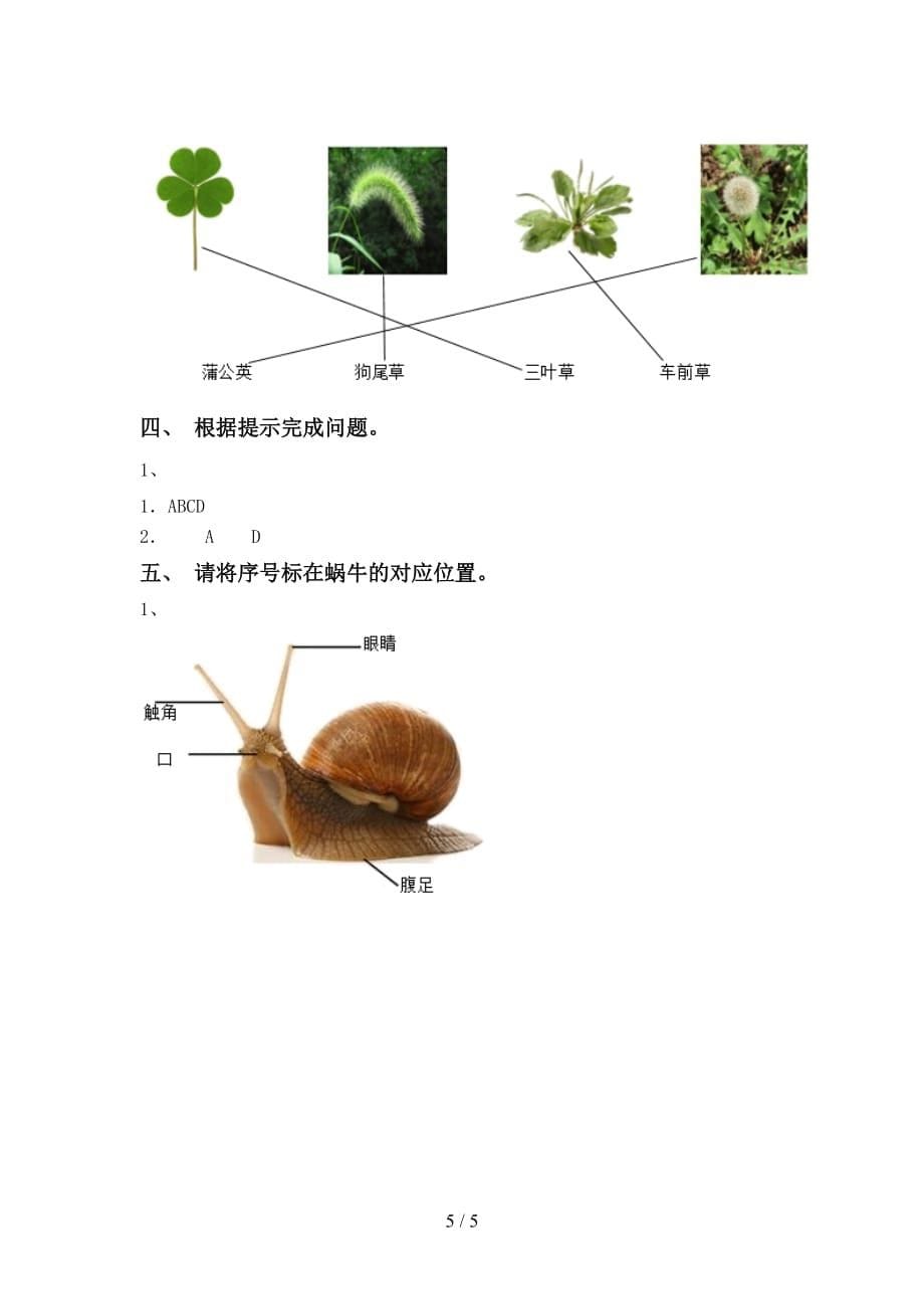 青岛版一年级科学(下册)期末复习及答案_第5页