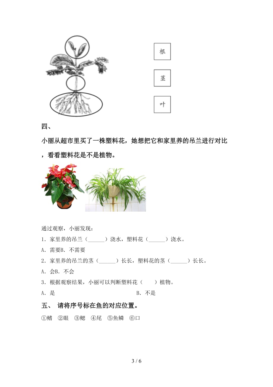 青岛版一年级科学下册第一次月考考试题及答案【通用】_第3页