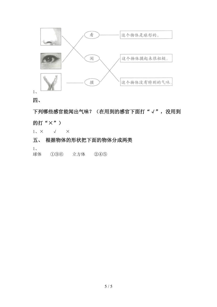 苏教版一年级科学下册第一次月考测试卷（审定版）_第5页