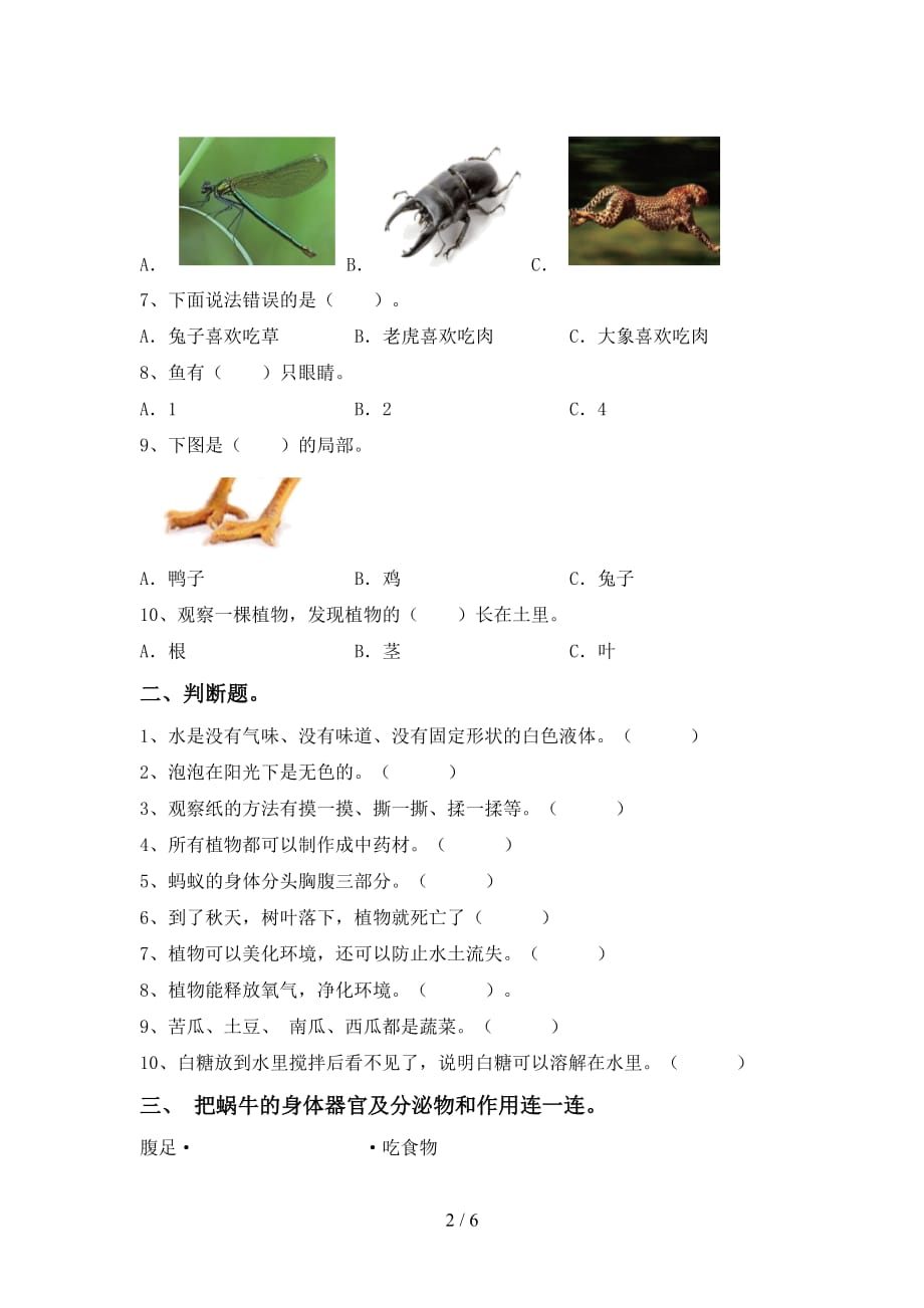 苏教版一年级科学下册期末试卷（1套）_第2页