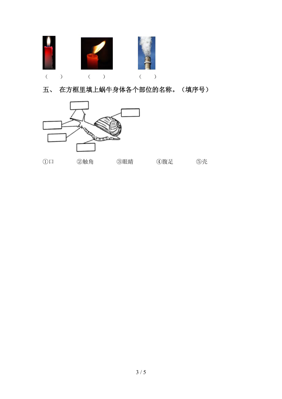 青岛版一年级科学下册第一次月考考试题及答案_第3页