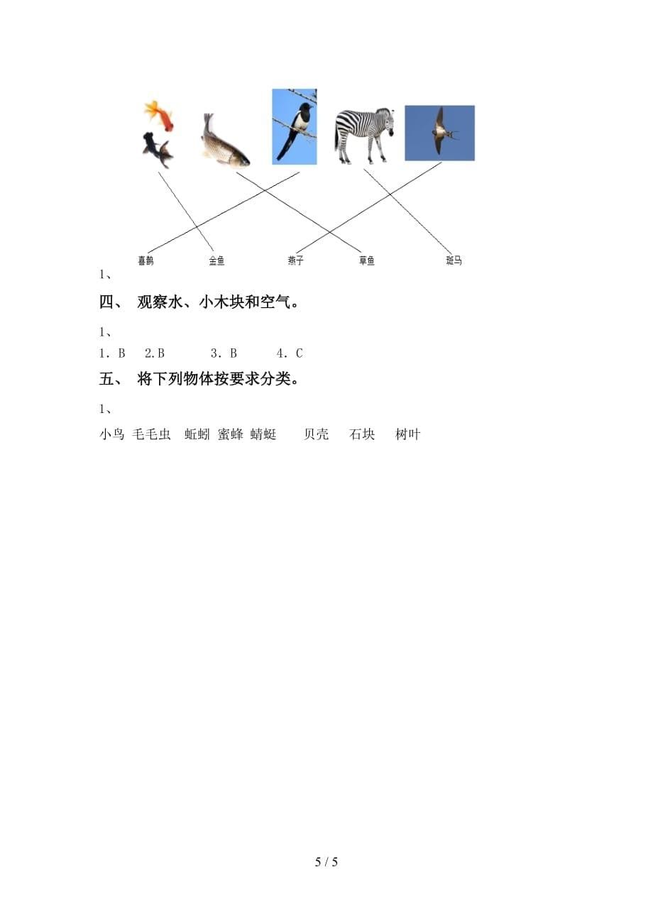 青岛版一年级科学下册第一次月考考试题（可打印）_第5页