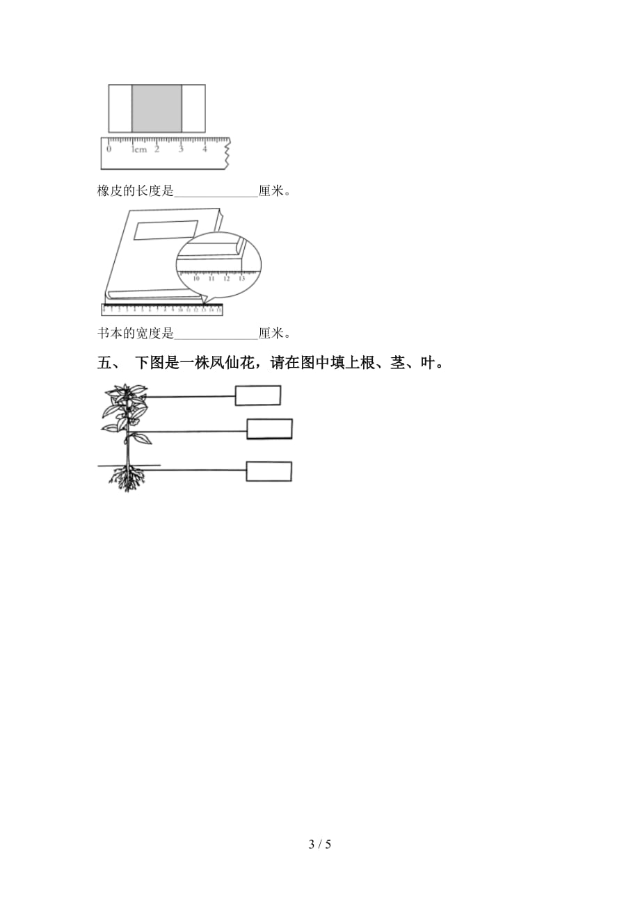 青岛版一年级科学下册第一次月考考试题及答案【真题】_第3页