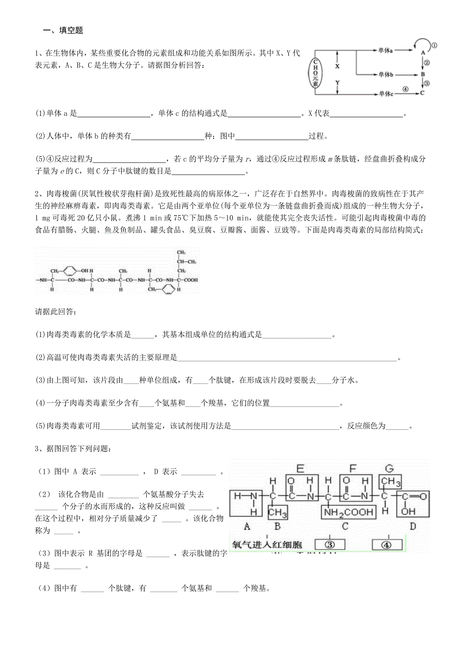 组成分子的细胞_第1页