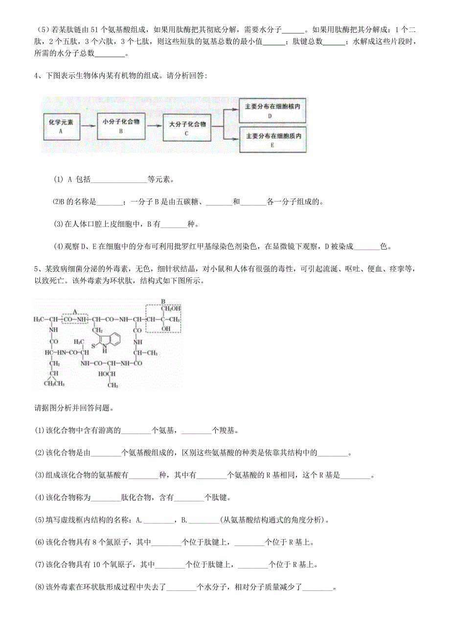 组成分子的细胞_第2页