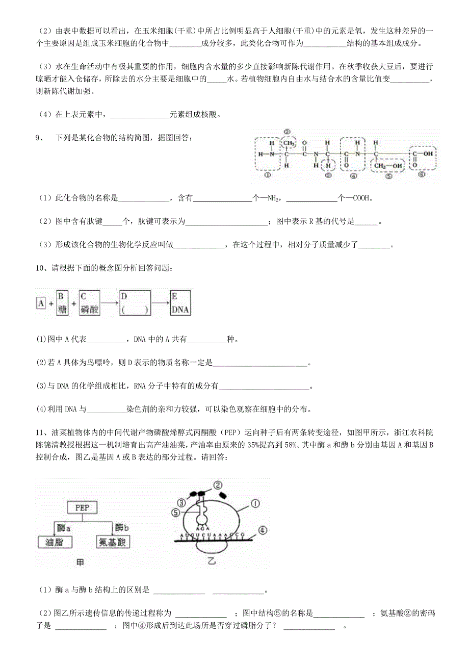 组成分子的细胞_第4页