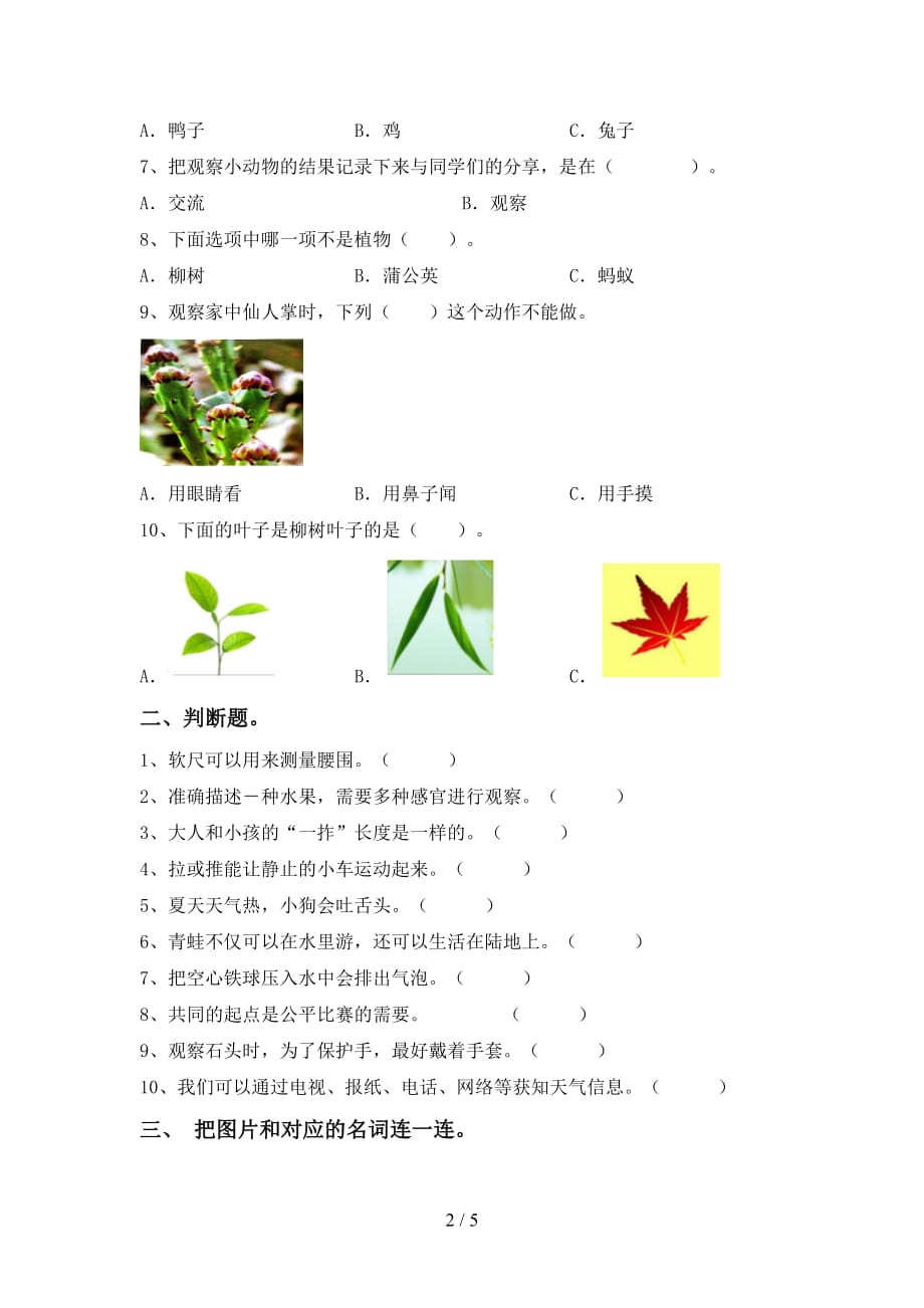 青岛版一年级科学下册第一次月考考试题（A4打印版）_第2页