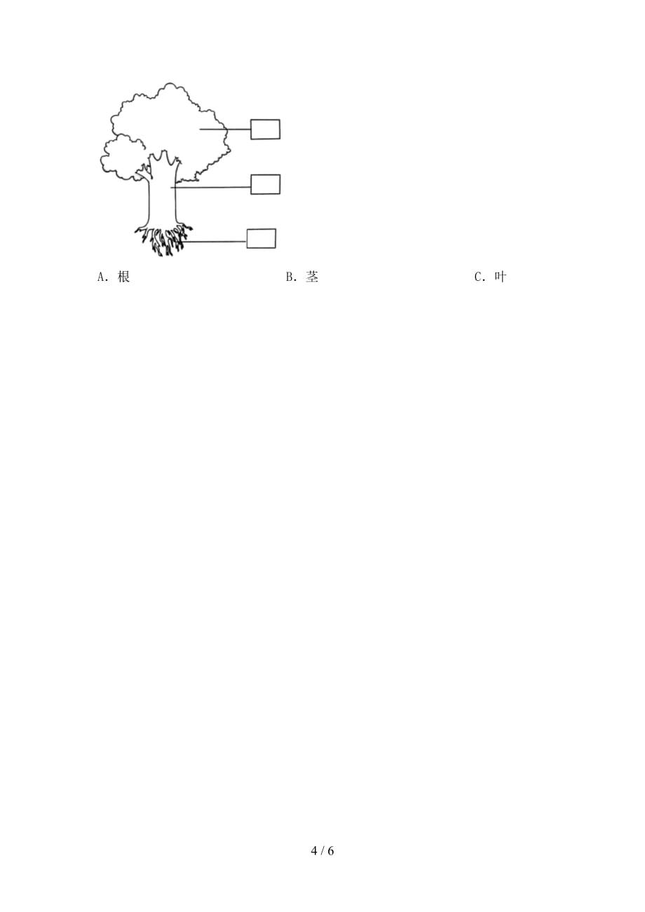 苏教版一年级科学下册第一次月考考试卷及答案【1套】_第4页