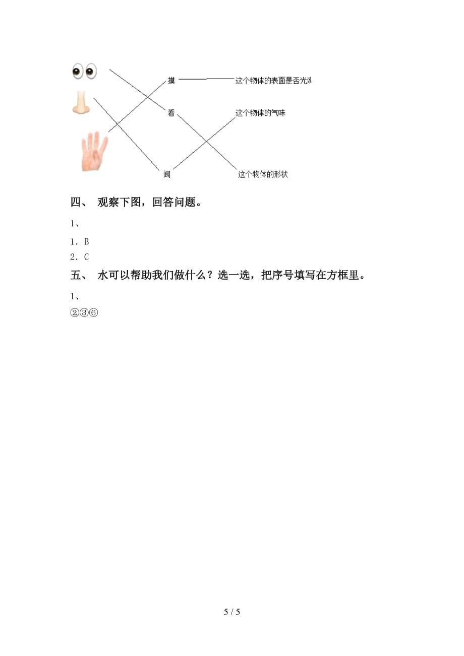 青岛版一年级科学下册第一次月考考试题加答案_第5页