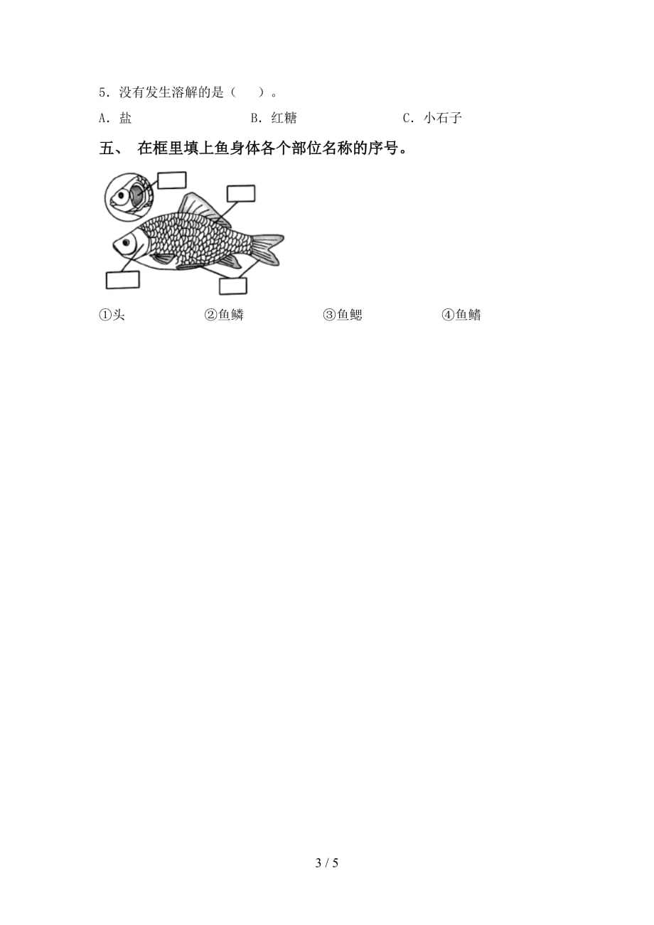 最新教科版一年级科学下册期末测试卷（可打印）_第3页