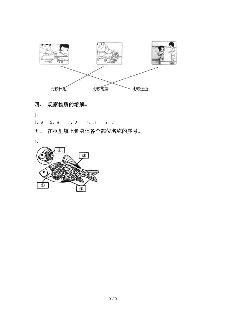 最新教科版一年级科学下册期末测试卷（可打印）_第5页