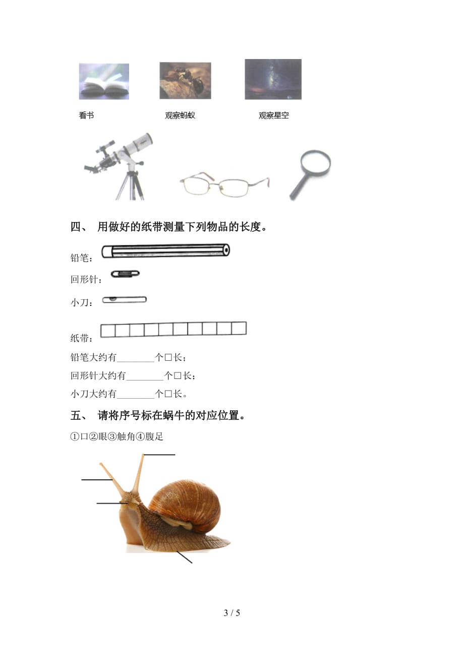 苏教版一年级科学下册第一次月考测试卷（附答案）_第3页