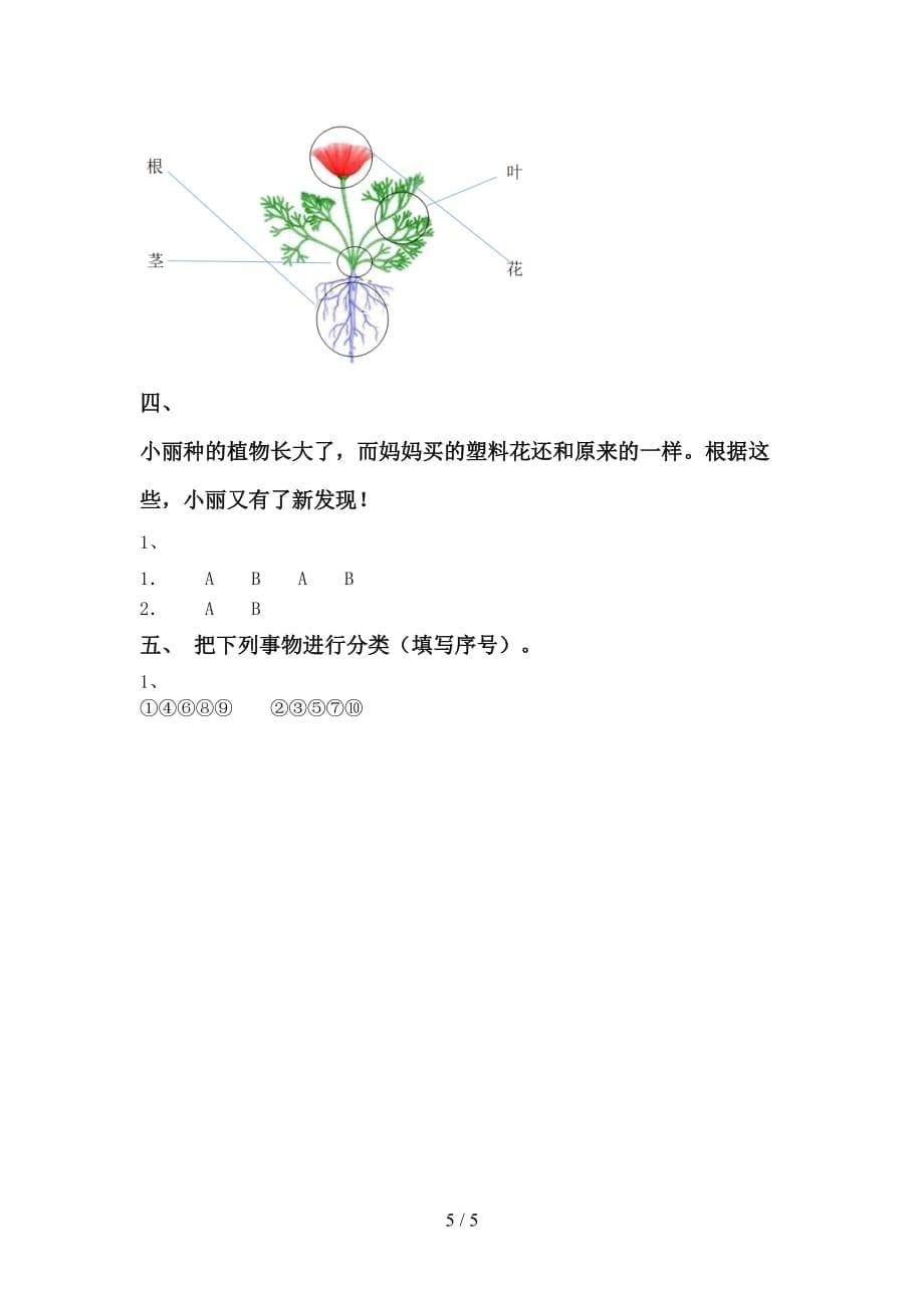 最新教科版一年级科学下册期末测试卷（下载）_第5页