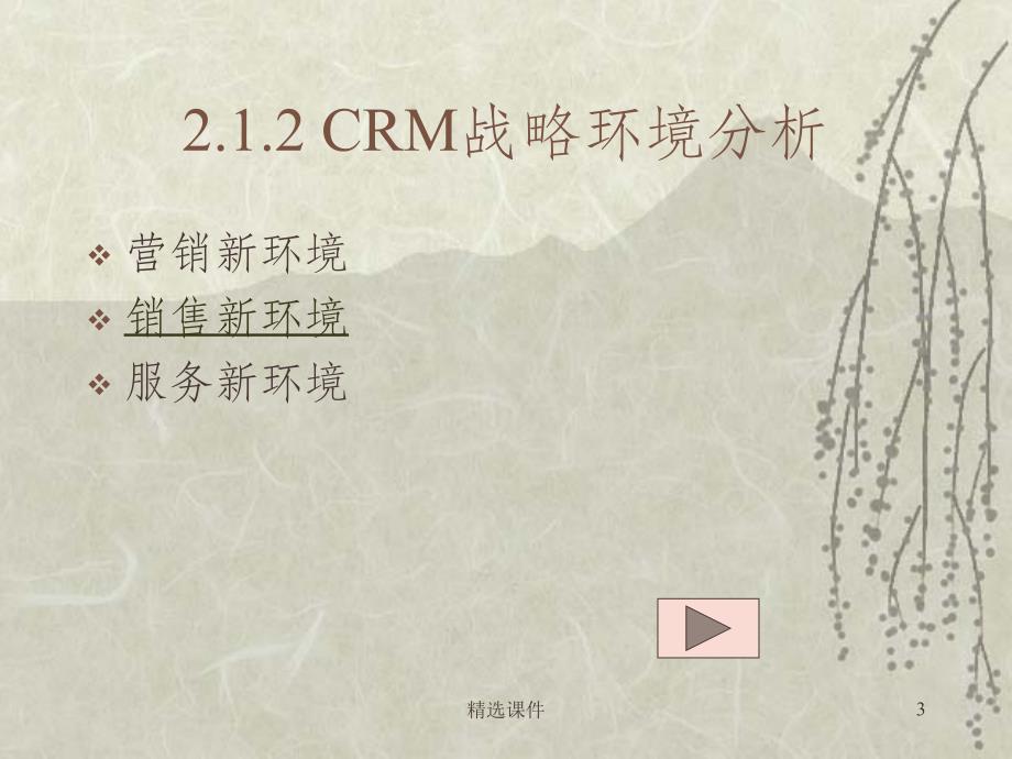 CH2-CRM战略与客户分析_第3页