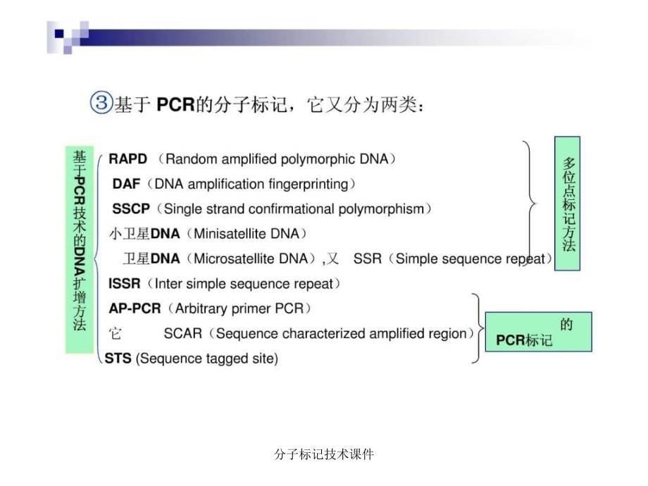 分子标记技术课件_第5页