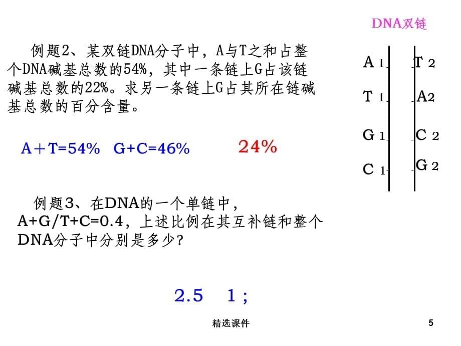 DNA分子结构碱基计算_第5页