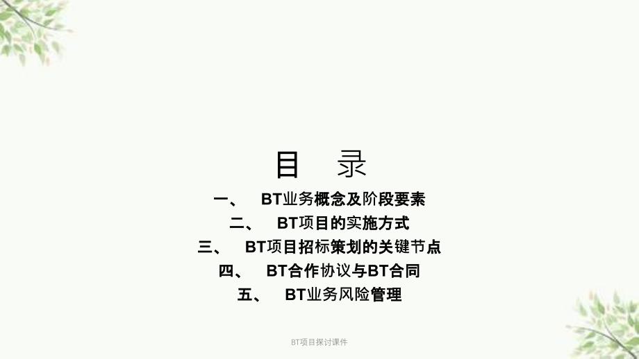 BT项目探讨课件_第2页