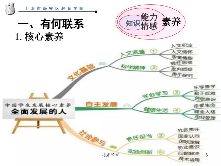 核心素养与衔接 曹培英教授[专业教学]_第3页