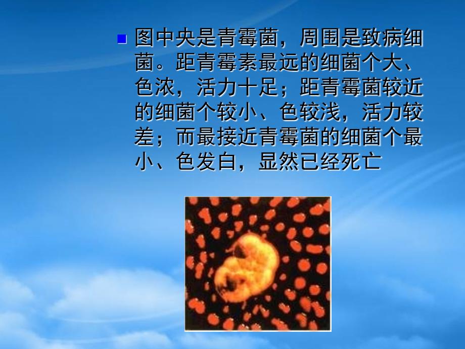 高二化学课件化学与生活 正确使用药物 新课标 人教选修1（通用）_第4页