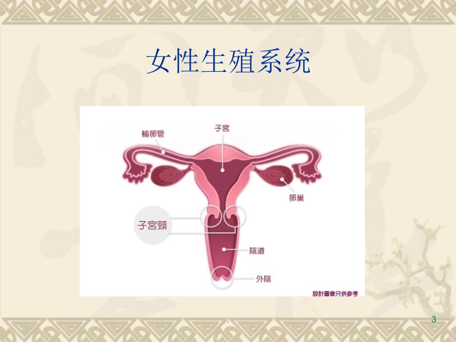 宫颈癌科普(1)_第3页