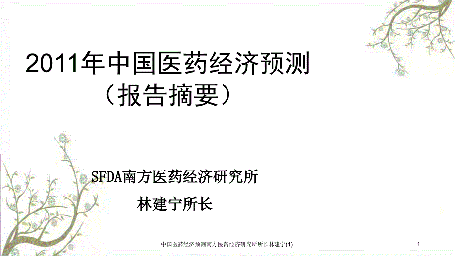 中国医药经济预测南方医药经济研究所所长林建宁(1)课件_第1页