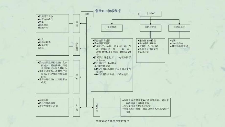 急救常识医学急诊抢救程序课件_第4页