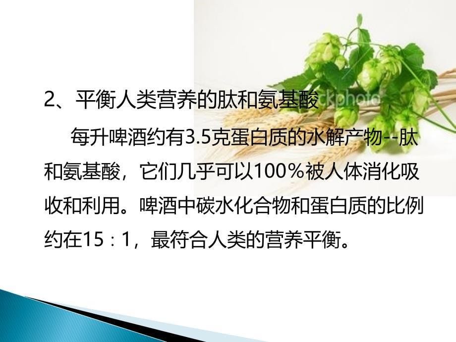 [精选]啤酒成分及营养价值(PPT34页)_第5页