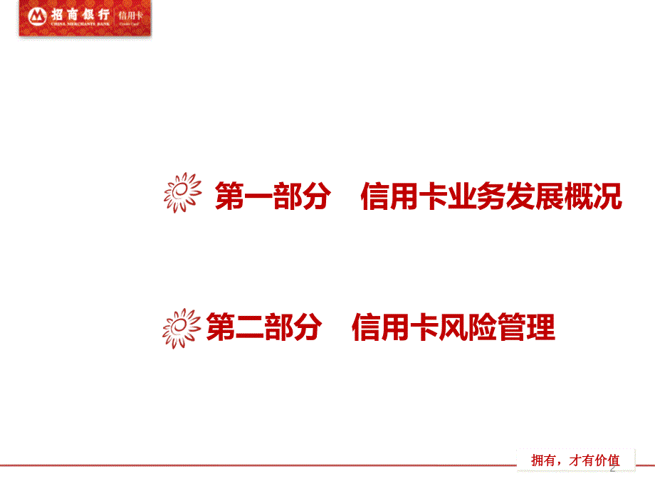 [精选]商业银行信用卡业务发展及风险管理课件_第2页