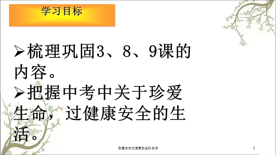 珍爱生命过健康安全的生活课件_第2页