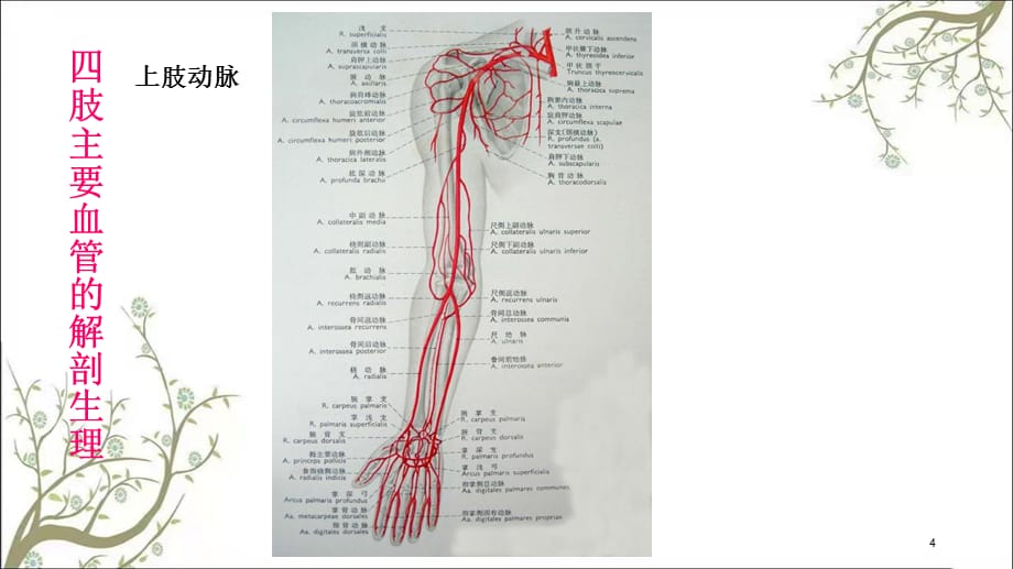 肢血管损伤的诊断与处理课件_第4页
