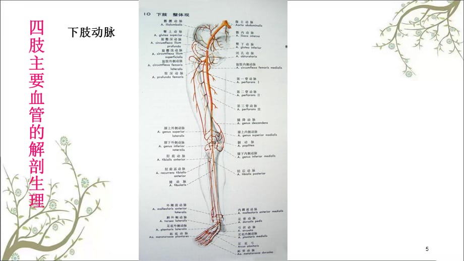 肢血管损伤的诊断与处理课件_第5页