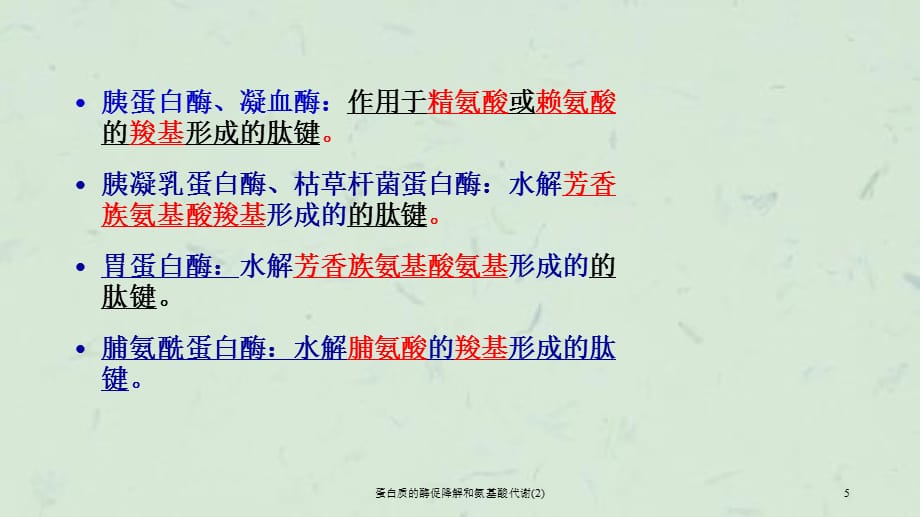 蛋白质的酶促降解和氨基酸代谢(2)课件_第5页