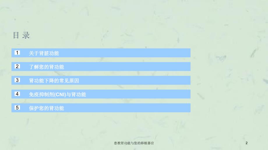 患教肾功能与您的移植器官课件_第2页