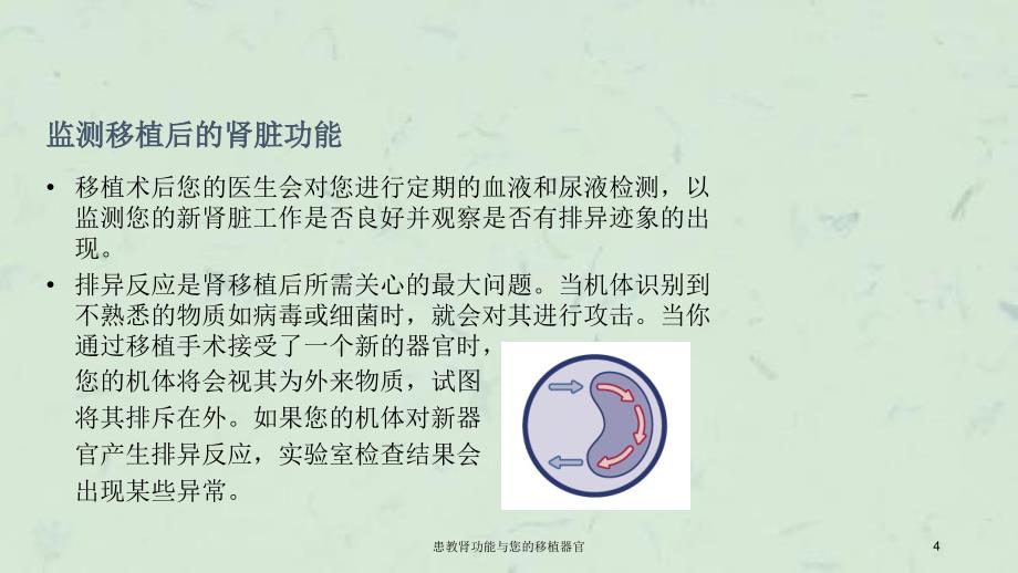 患教肾功能与您的移植器官课件_第4页