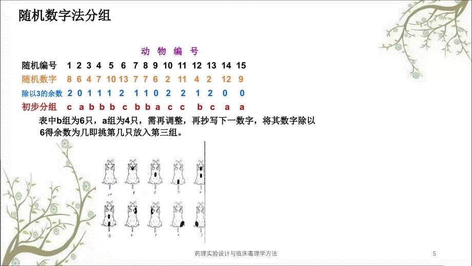 药理实验设计与临床毒理学方法课件_第5页