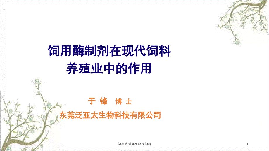 饲用酶制剂在现代饲料课件_第1页