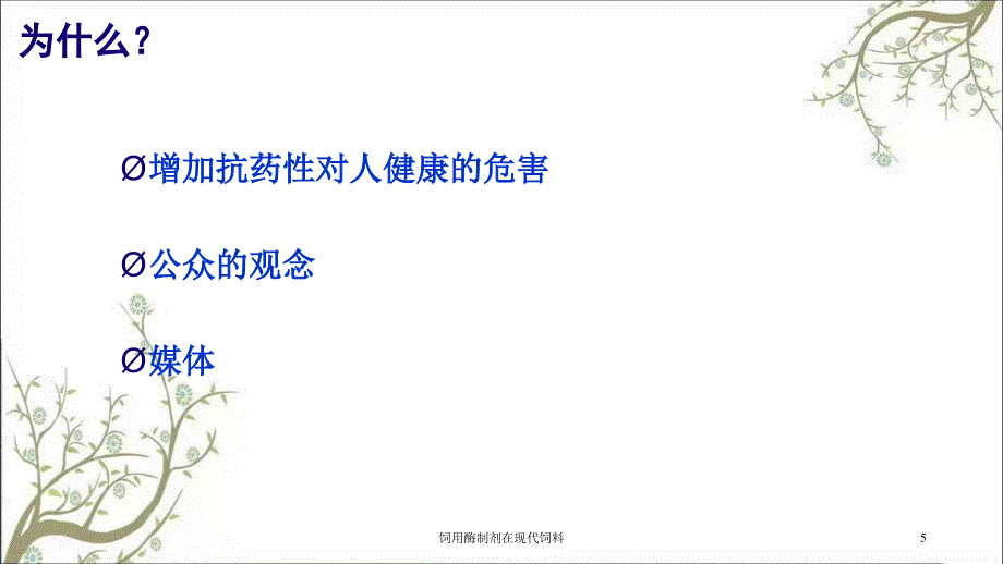 饲用酶制剂在现代饲料课件_第4页