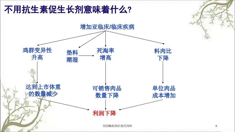 饲用酶制剂在现代饲料课件_第5页