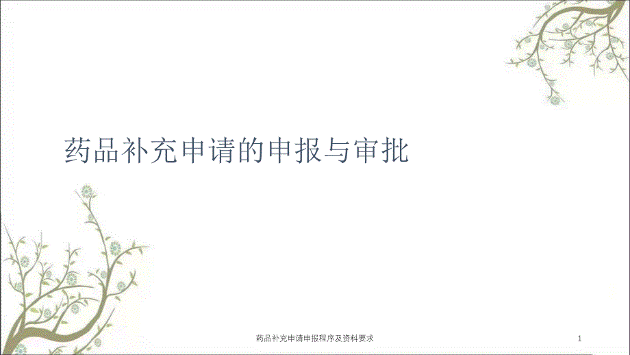 药品补充申请申报程序及资料要求课件_第1页