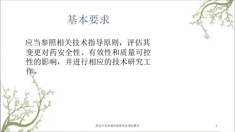 药品补充申请申报程序及资料要求课件_第3页