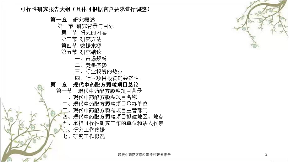 现代中药配方颗粒可行性研究报告课件_第3页