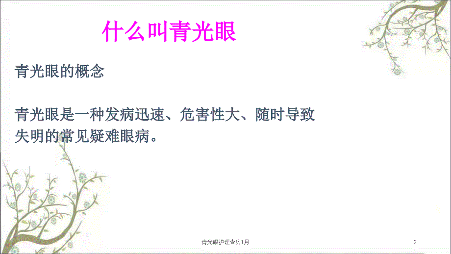 青光眼护理查房1月课件_第2页