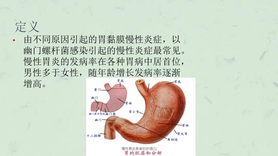 慢性胃炎患者的护理(1)课件_第3页