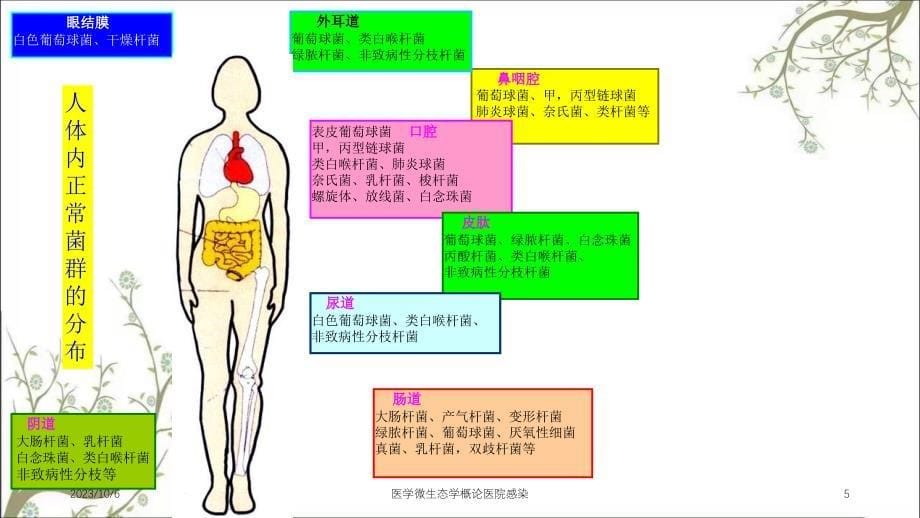 医学微生态学概论医院感染课件_第5页