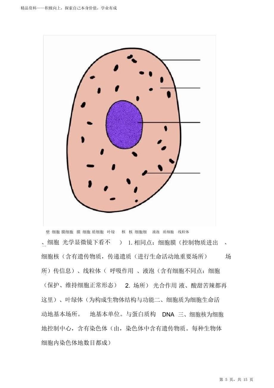 最全面苏教版初中一年级上册期末生物知识点归纳总结要点2021_第5页