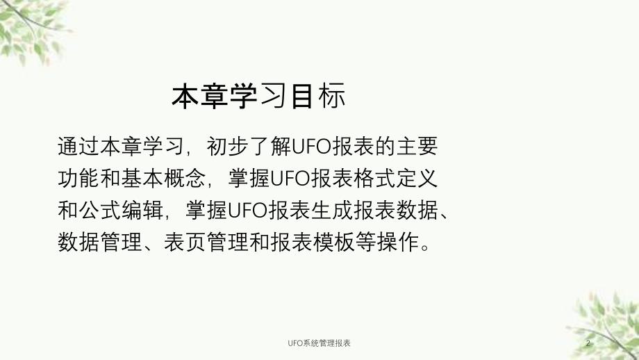 UFO系统管理报表课件_第2页