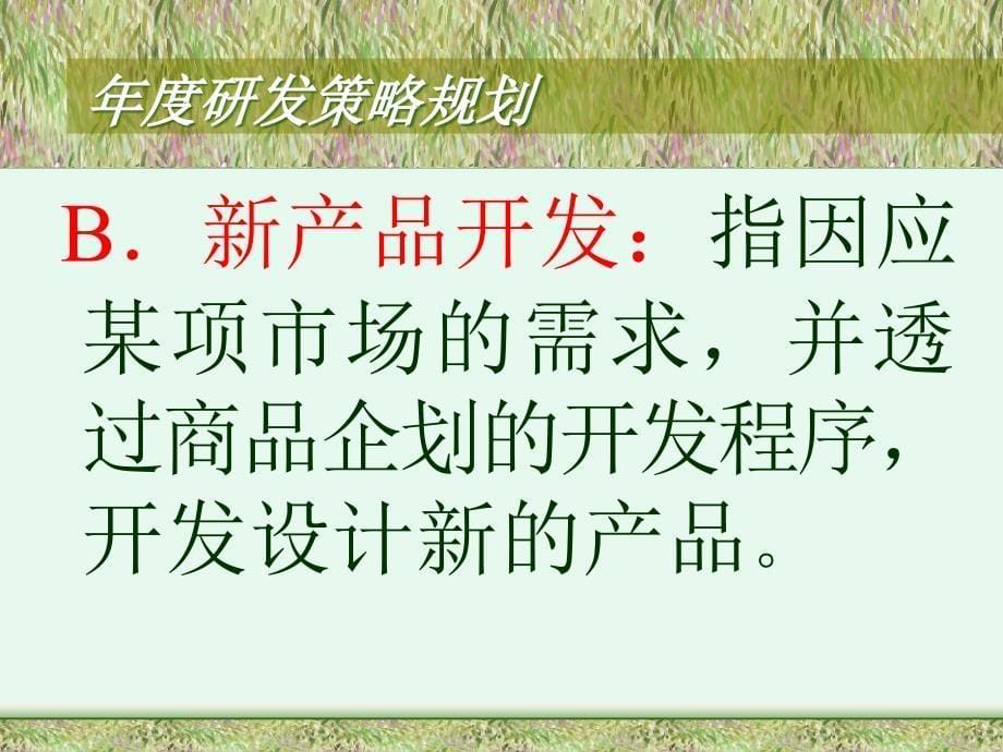 [精选]策略管理年度研发策略规划_第5页