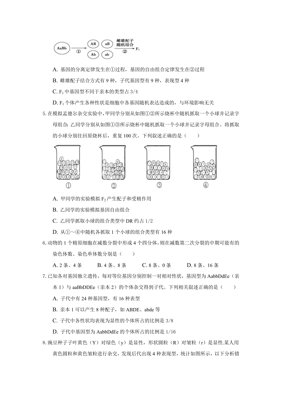 河北省衡水市2020-2021学年高一第二学期期中考试生物试卷（word版 含答案）_第2页