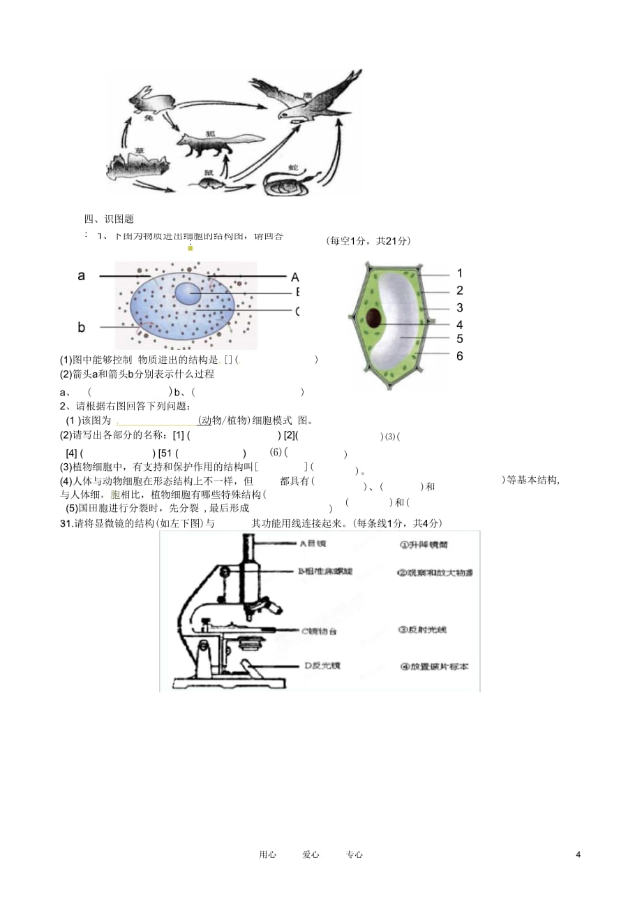 湖北省武汉市2012年秋七年级生物期中测试试题新人教版_第4页