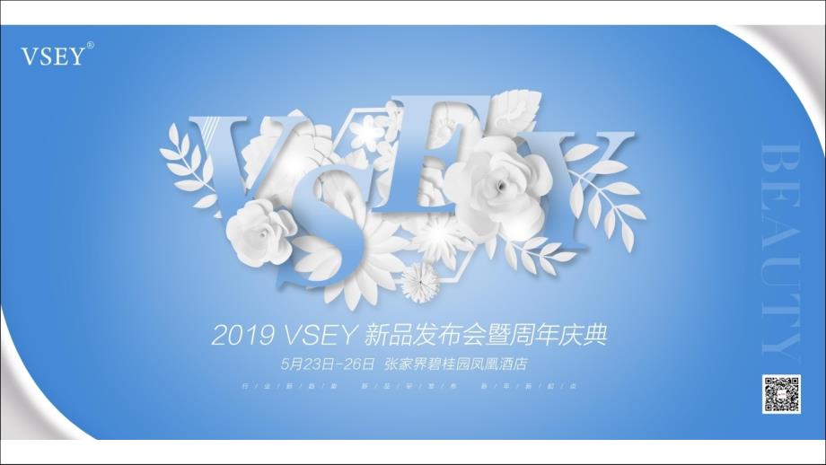 2019VSEY新品发布会暨周年庆方案-43页_第2页